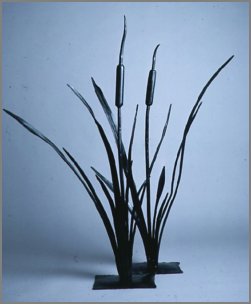 Cattails