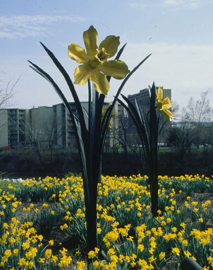 Large Daffodil Sculptures