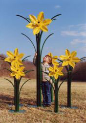 Large Daffodil Sculptures